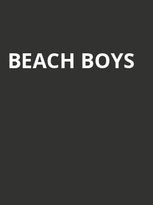 Beach Boys, The Sound At Coachman Park, Clearwater
