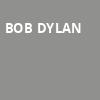 Bob Dylan, Ruth Eckerd Hall, Clearwater