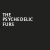 The Psychedelic Furs, Capitol Theatre , Clearwater